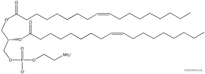 磷脂酰乙醇胺